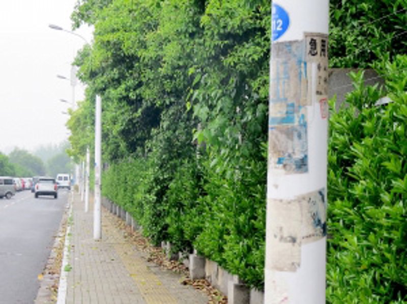 智能路灯下的智慧城市:LED技术引领未来